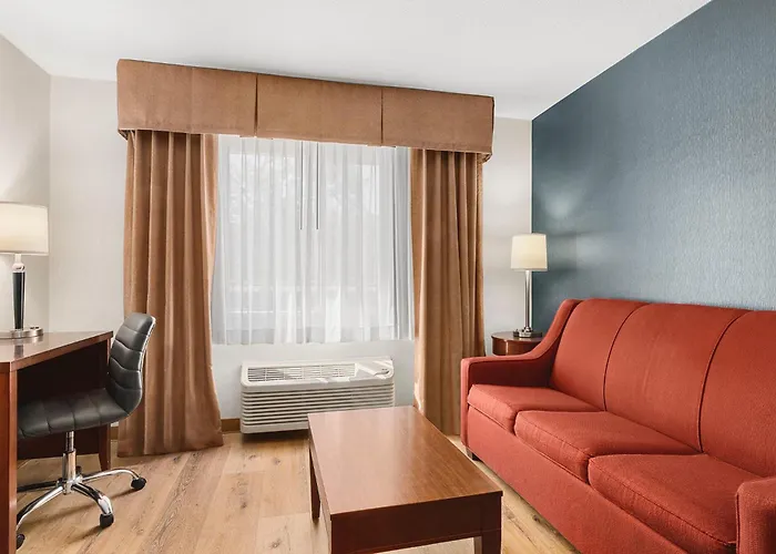 Comfort Inn & Suites Vancouver Downtown City Center
